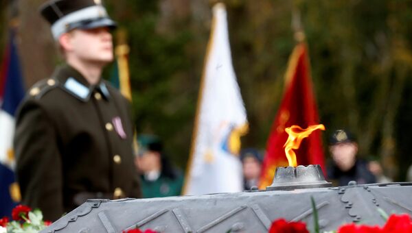 Факельное шествие, посвященное дню памяти героев, павших за освобождение Латвии в Риге. 11.11.2017