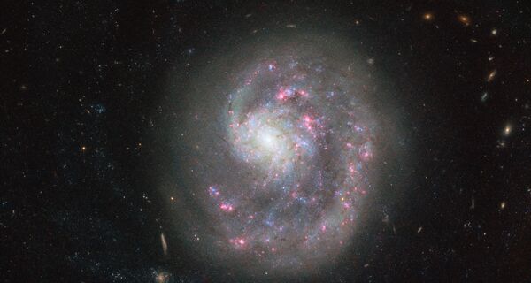 Галактика NGC 4625 в созвездии Гончих Псов
