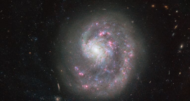 Галактика NGC 4625 в созвездии Гончих Псов