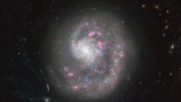 Галактика NGC 4625 в созвездии Гончих Псов