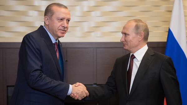 Президент России Владимир Путин и президент Турции Реджеп Тайип Эрдоган во время встречи. 13 ноября 2017