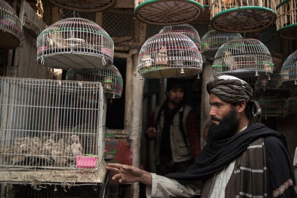Покупатель на птичьем рынке в Кабуле