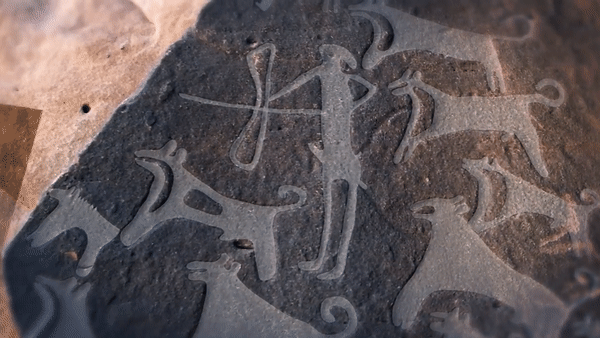Найдены древнейшие изображения собак