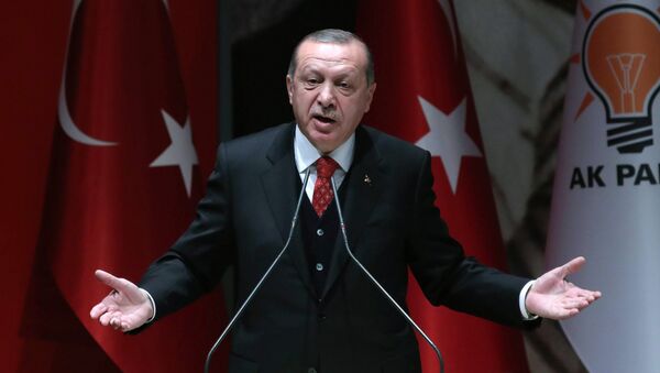 Президент Турции Тайип Эрдоган выступает в Анкаре. Архивное фото