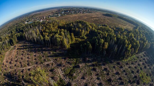 Земли Подмосковья