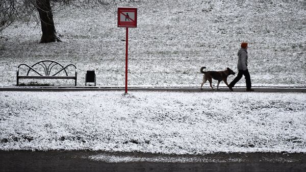 Прохожий гуляет с собакой на улице после снегопада в Москве