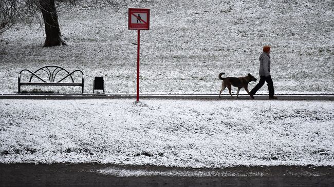 Прохожий гуляет с собакой на улице после снегопада в Москве. Архивное фото