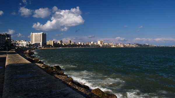 Вид на город-порт Александрию