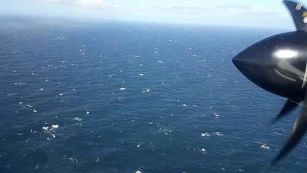 Самолет ВМС Аргентины над Атлантическим океаном в процессе поиска пропавшей подлодки Сан-Хуан. 22 ноября 2017