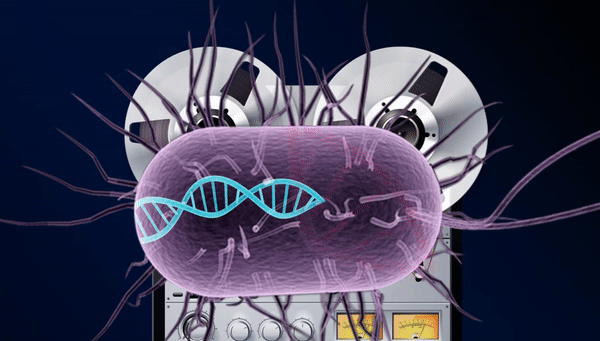 Так художник представил себе бактерию-шпиона, записывающую информацию в своей ДНК