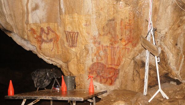Изображение верблюда, найденное в Каповой пещере