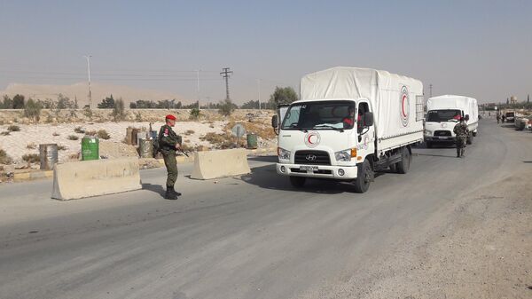 Более 50 тонн гумпомощи при содействии военных РФ доставили в пригород Дамаска