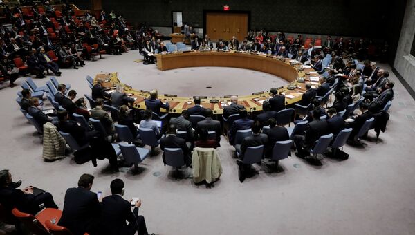 Заседание Совета Безопасности по ситуации в Северной Корее. 29 ноября 2017