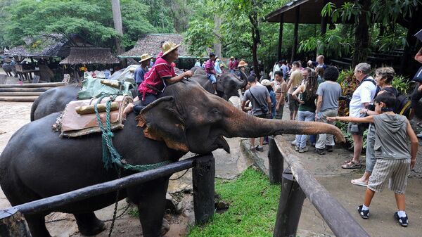 Туристы в слоновой деревне в Таиланде