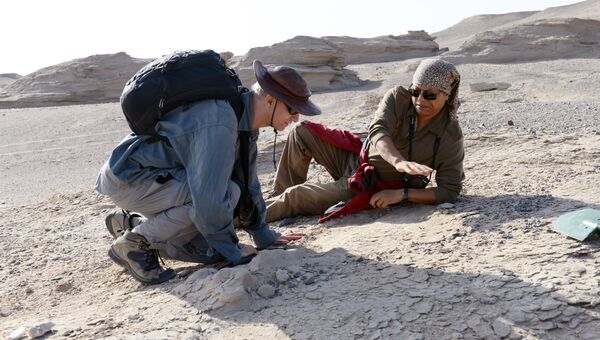 Ученые проводят раскопки на «кладбище» птерозавров на северо-востоке Китая