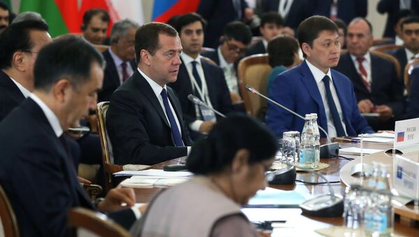 Председатель правительства РФ Дмитрий Медведев во время заседания Совета глав правительств стран Шанхайской организации сотрудничества в Сочи. 1 декабря 2017