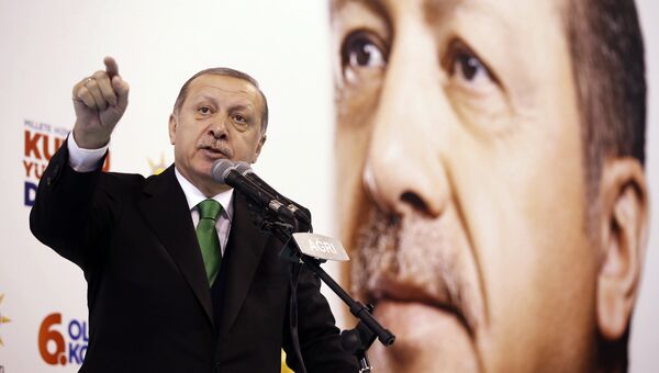 Выступление президента Турции Реджепа Тайипа Эрдогана. Архивное фото
