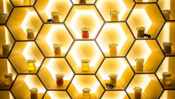 Сладкая жизнь на ВДНХ: в павильоне №28 открылся музей «пчеловодство»