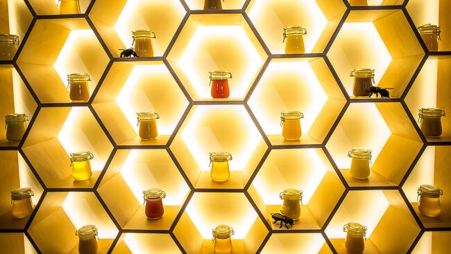Сладкая жизнь на ВДНХ: в павильоне №28 открылся музей «пчеловодство»