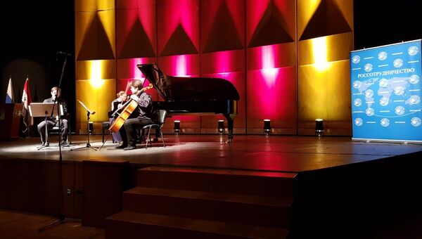 Выступление российских музыкантов в концертном зале оперы имени Асада в Дамаске. 11 декабря 2017