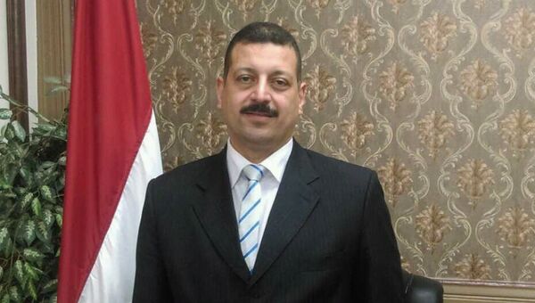Официальный представитель министерства электроэнергетики и возобновляемых источников энергии Египта Айман Хамза. Архивное фото