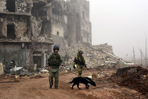 Военнослужащие во время разминирования исторической цитадели древней крепости Алеппо