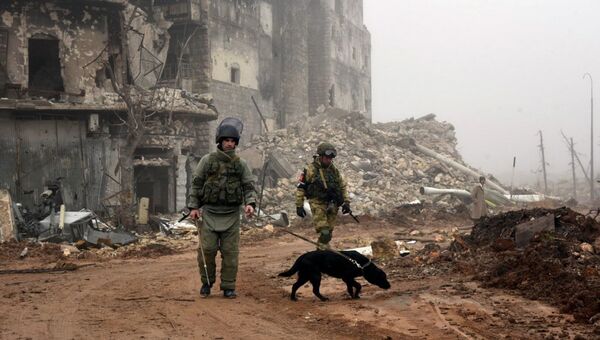 Военнослужащие во время разминирования исторической цитадели древней крепости Алеппо