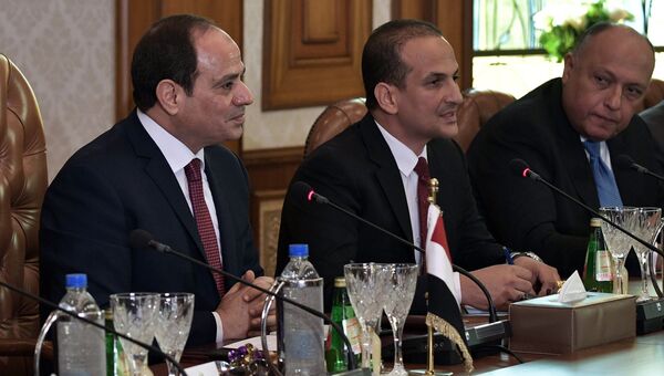 Президент Арабской Республики Египет Абдельфаттах Сиси во время российско-египетских переговоров в Каире. 11 декабря 2017