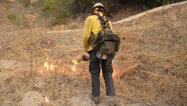 Пожарные в Калифорнии пустили встречный пал для борьбы с огнем
