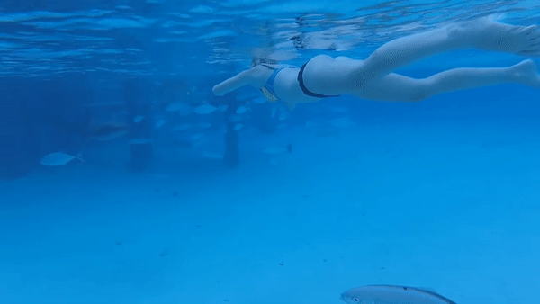 Американец снял на видео нападение акулы на свою жену
