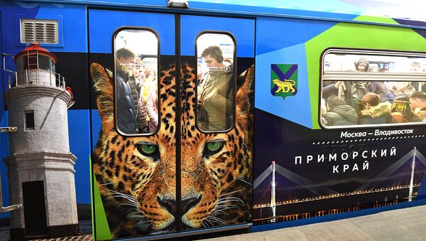 Дальневосточный леопард появился на новом тематическом поезде метро