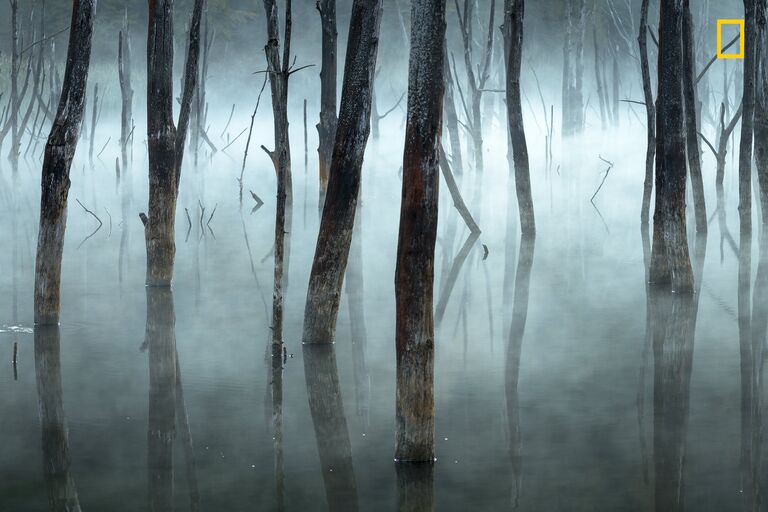 Работа фотографа Gheorghe Popa Cold and misty, получившая почетный приз в категории Пейзаж в фотоконкурсе 2017 National Geographic Nature Photographer of the Year