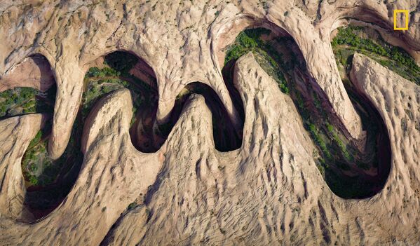 Работа фотографа David Swindler Meandering Canyon, получившая приз зрительских симпатий в категории Аэросъемка в фотоконкурсе 2017 National Geographic Nature Photographer of the Year