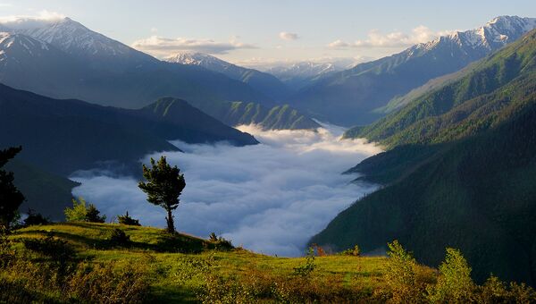 Уникальная природа Дагестанского заповедника: сохранить и приумножить
