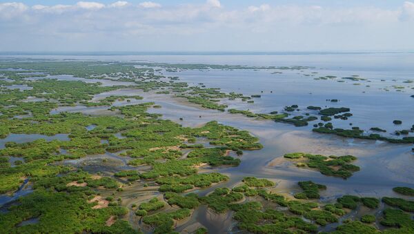 В 2017 году «Кизлярский залив» получил статус биосферного резервата ЮНЕСКО - территории, созданной для сохранения биологического разнообразия