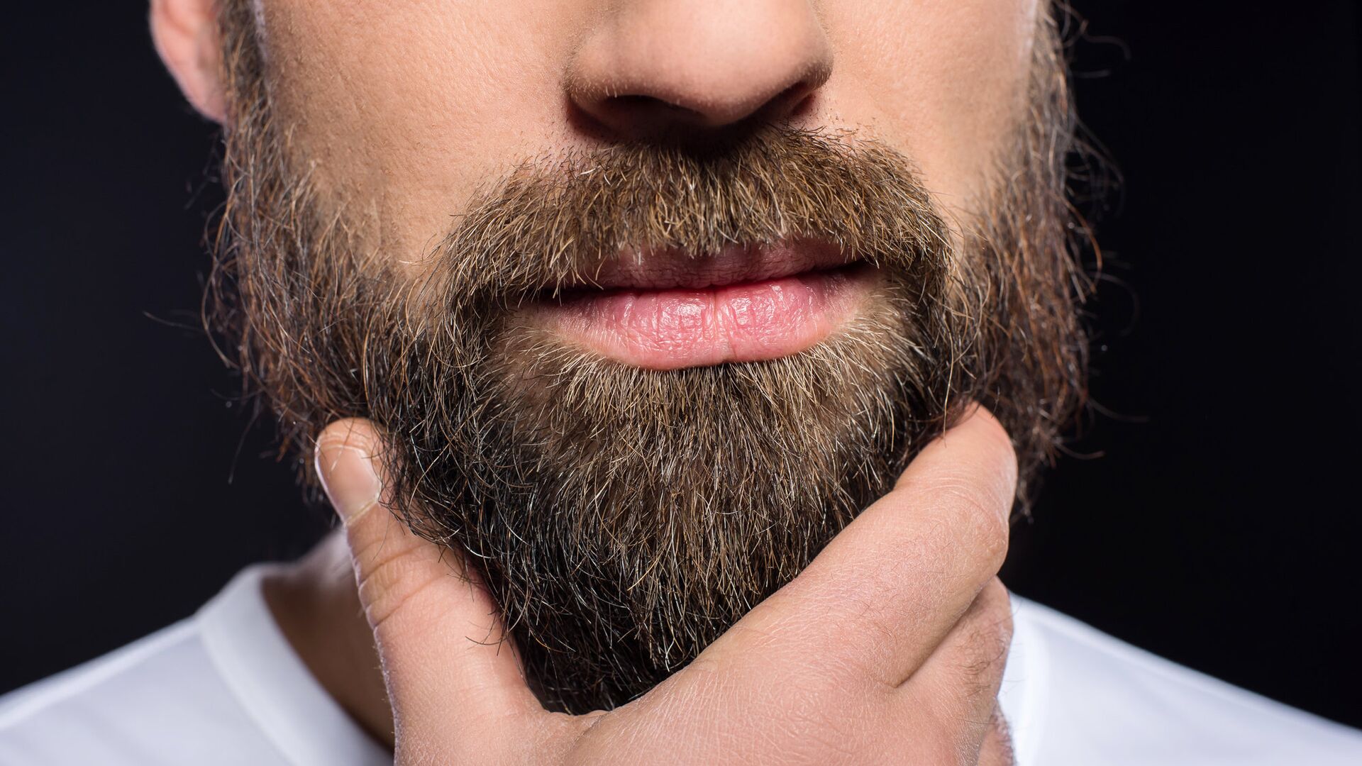 От чего появляется борода у людей