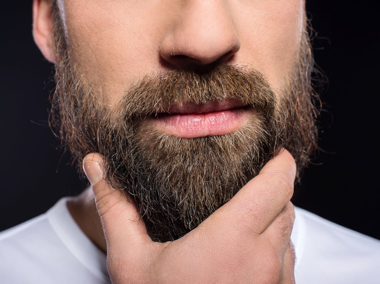Только для мужчин: борода