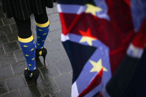 Участница протеста против Brexit у парламента Лондона Участница протеста против Brexit у парламента Лондона