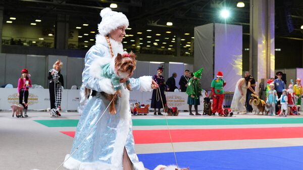 Собаки и их владельцы участвуют в конкурсе костюмов на выставке Золотой ошейник-2016 в Москве