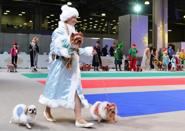 Собаки и их владельцы участвуют в конкурсе костюмов на выставке Золотой ошейник-2016 в Москве