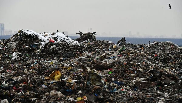 Мусор на полигоне твердых бытовых отходов Кучино в Балашихе Московской области. Архивное фото