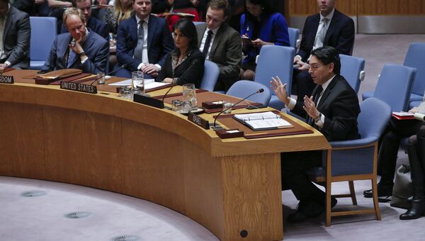 На заседании Совета Безопасности ООН в связи с ситуацией на Ближнем Востоке. 18 декабря 2017