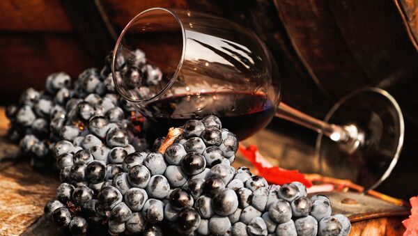 Виноградная лоза и вино в бокале на винодельческом предприятии Массандра в Крыму.