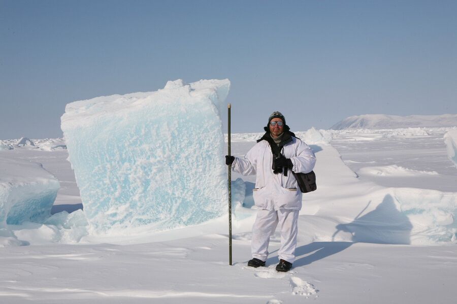Наблюдения во льдах, остров Врангеля, 2009 год