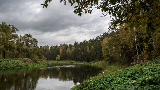 Подмосковье. Архивное фото