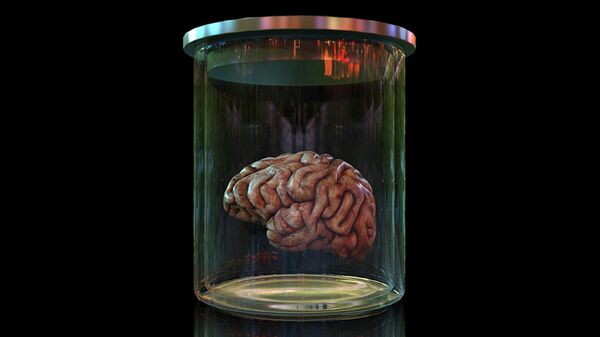 Мозг в банке