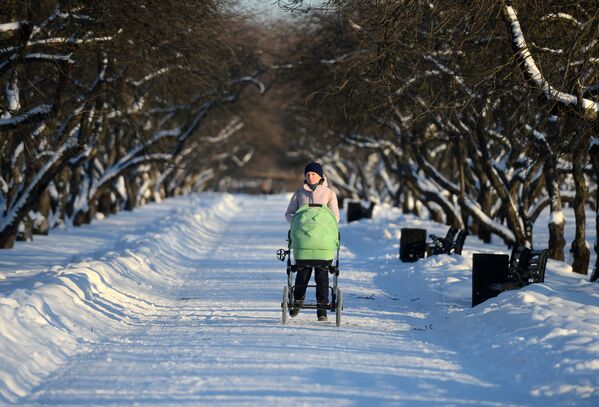 Женщина с коляской в парке Коломенское в Москве
