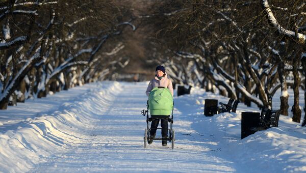 Женщина с коляской в парке Коломенское в Москве. Архивное фото