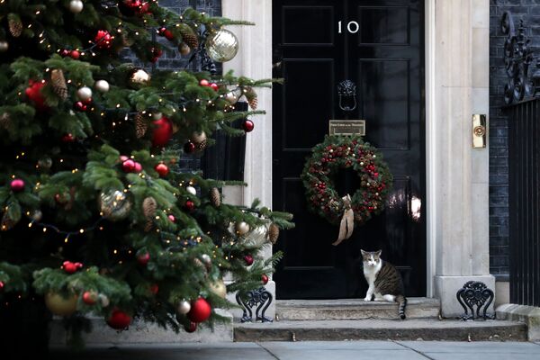 Кот Ларри сидит возле рождественской елки на Даунинг-стрит в Лондоне