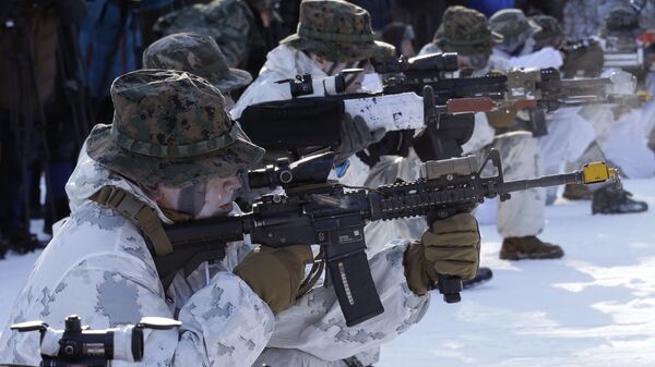 Южнокорейские и американские морские пехотинцы во время совместных военных зимних учений